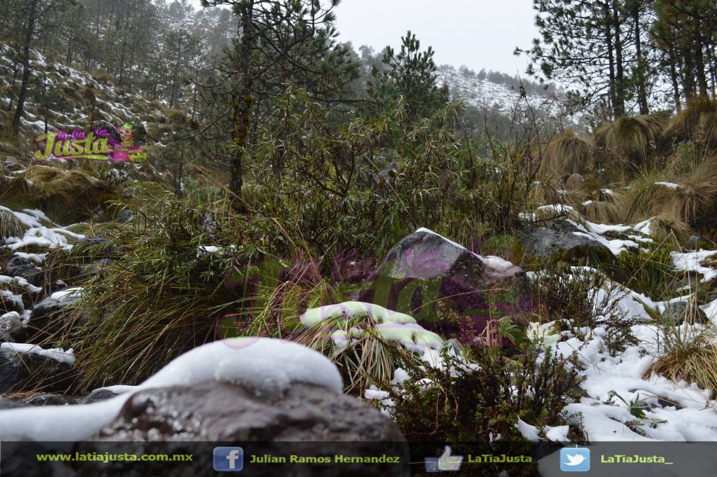 Se declara La Perla en emergencia por las bajas temperaturas (1)